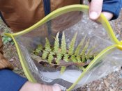 Img_20251016_104557 Img_20251016_104557