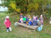 Img_20251016_110630 Img_20251016_110630