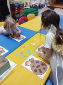 Img_20251205_104211 Img_20251205_104211