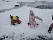 Img_20260112_102336 Img_20260112_102336