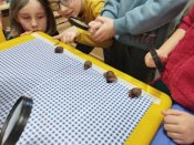 Img_20260122_083351 Img_20260122_083351