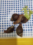 Img_20260122_091858 Img_20260122_091858