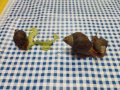 Img_20260122_092607 Img_20260122_092607