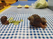 Img_20260122_092624 Img_20260122_092624