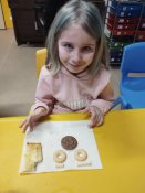 Img_20260129_095242 Img_20260129_095242