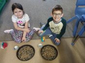 Img_20260305_095526 Img_20260305_095526