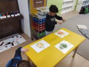 Img_20260409_091715