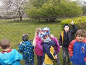 Img_20260415_103106