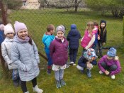 Img_20260415_103218