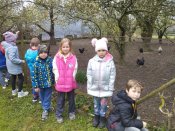 Img_20260415_103820