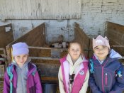 Img_20260427_102042