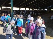 Img_20260427_102213