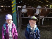 Img_20260427_102404