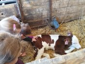 Img_20260427_102834