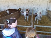 Img_20260427_103218
