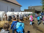 Img_20260427_103259
