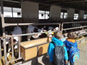 Img_20260427_103848