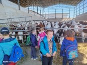 Img_20260427_104543
