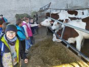 Img_20260427_104604