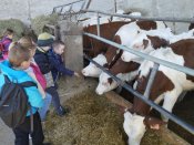 Img_20260427_104629