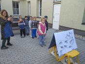 Img_20260428_103850 Img_20260428_103850