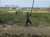Img_20260504_102243