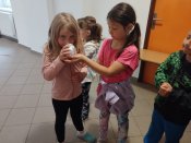 Img_20260601_084852