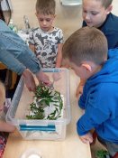 Img_20260908_074301