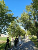 Img_20260929_113713-1